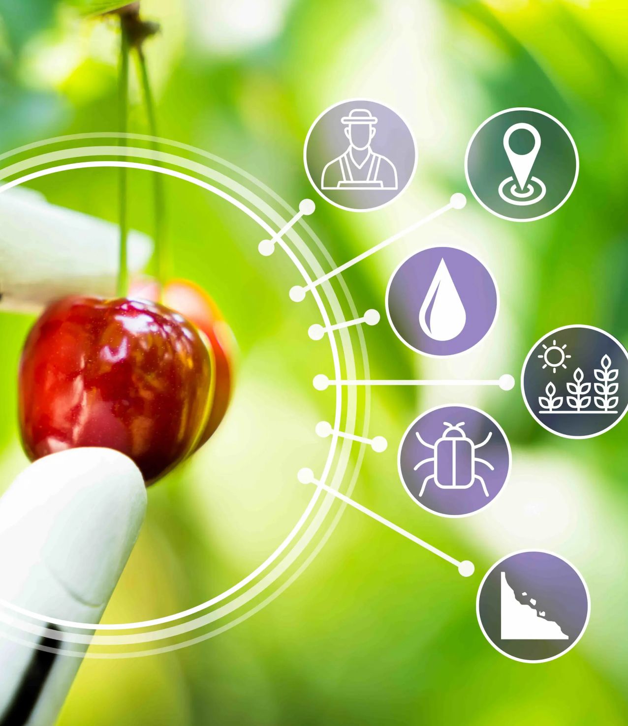 Advanced Robotics for Automations 