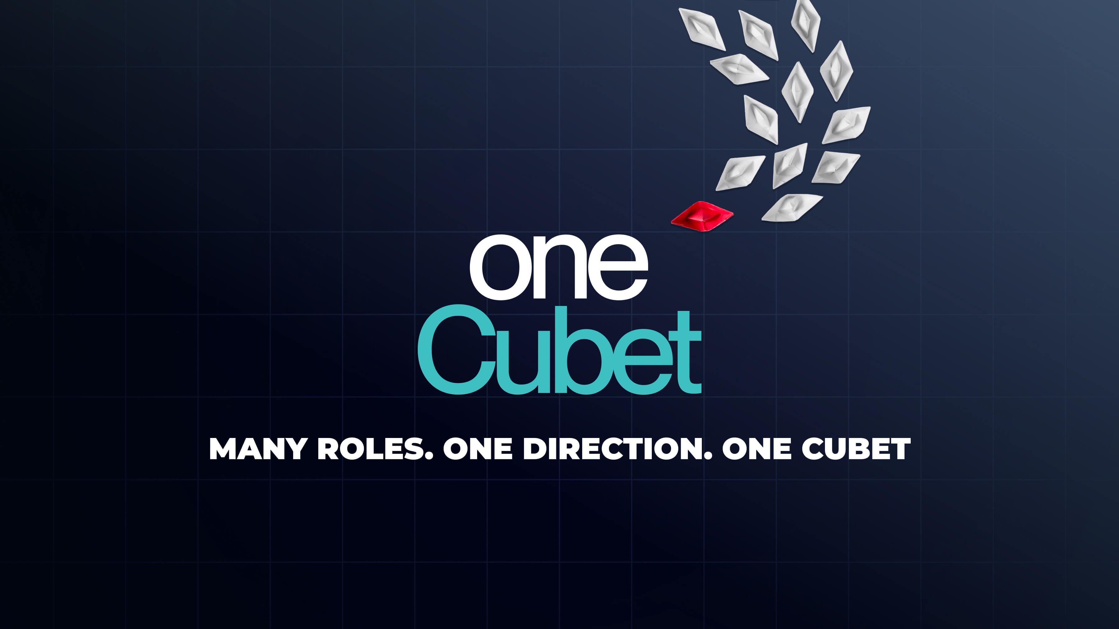 One Cubet: Different Roles. One Mindset.