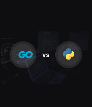 Comparing Go and Python for Web Development