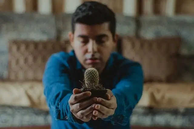 Reinventing services - Digital Vs Operations