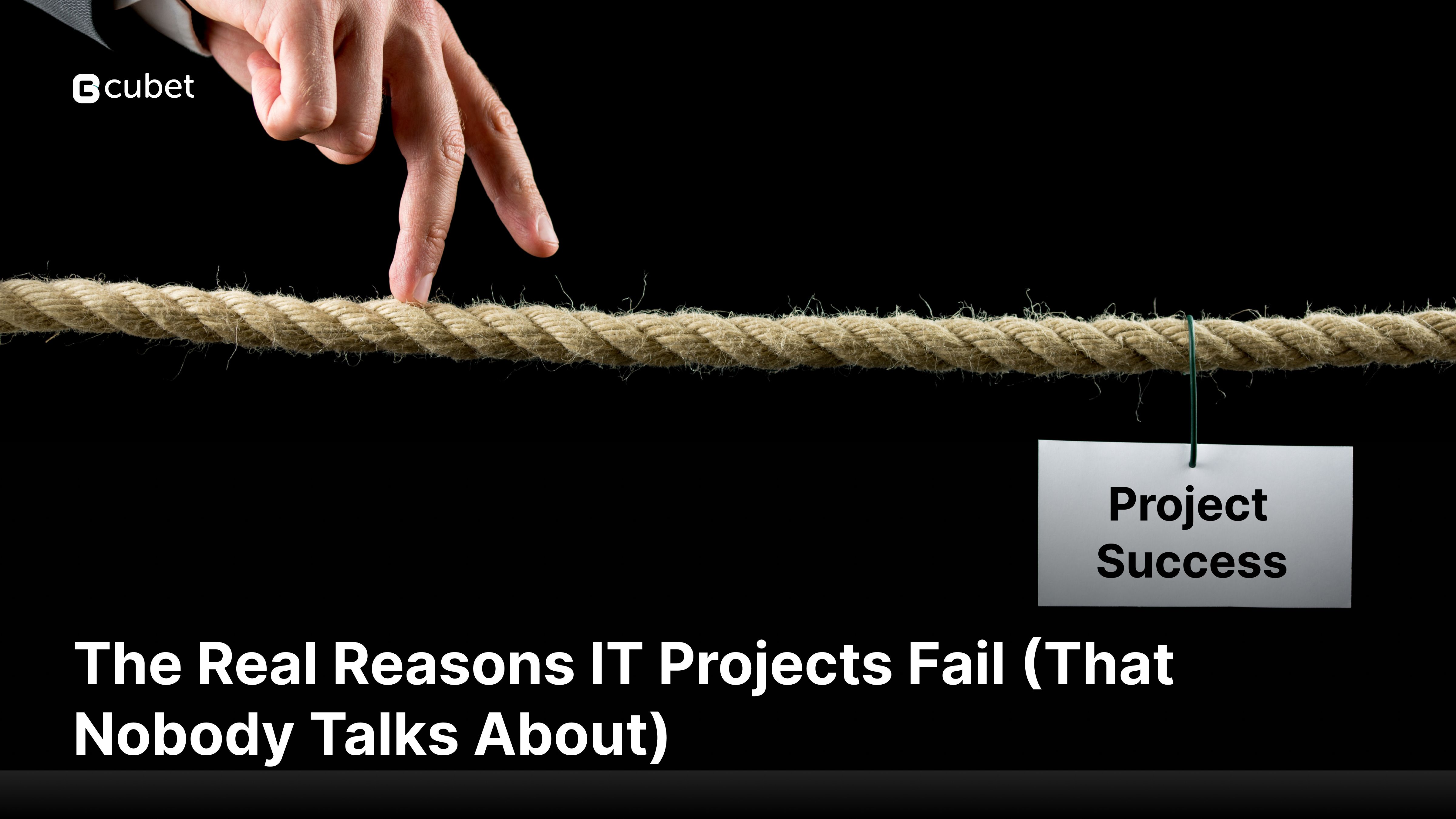 Why IT Projects Fail?