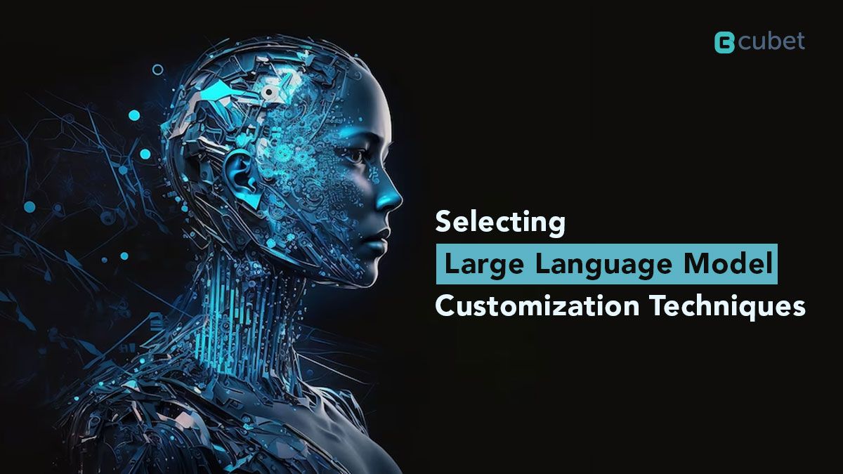 Selecting Large Language Model Customization Techniques